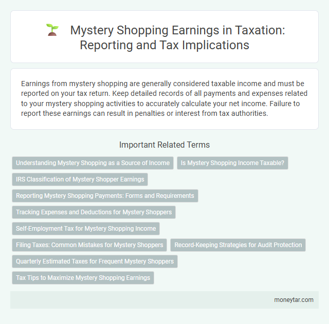 Mystery Shopping Earnings in Taxation: Reporting and Tax Implications