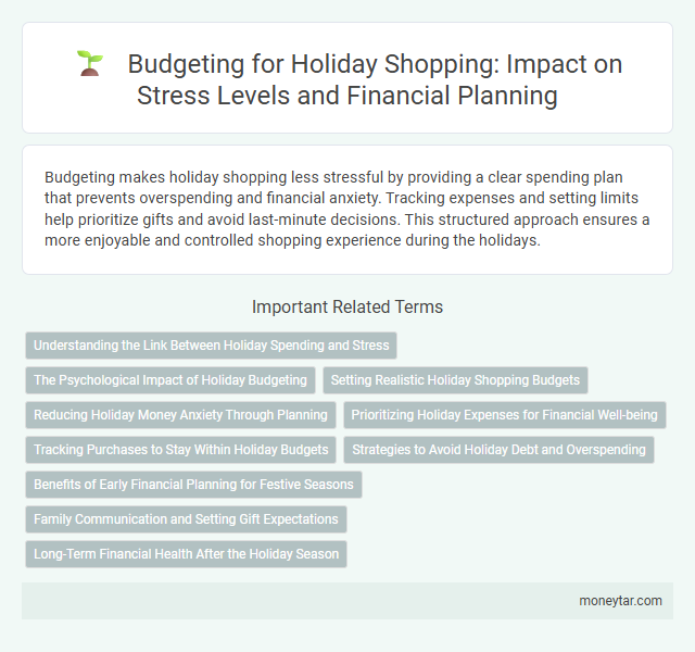 Budgeting for Holiday Shopping: Impact on Stress Levels and Financial Planning