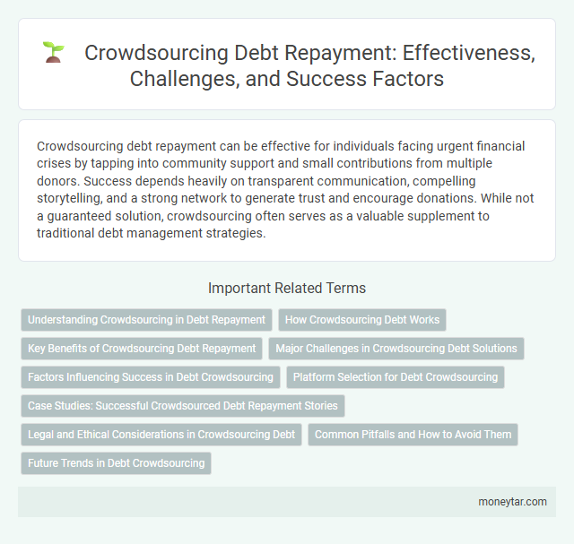 Crowdsourcing Debt Repayment: Effectiveness, Challenges, and Success Factors