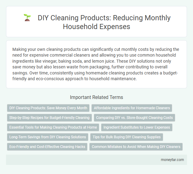 DIY Cleaning Products: Reducing Monthly Household Expenses