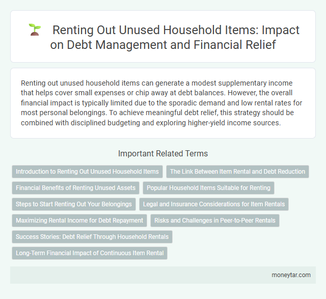 Renting Out Unused Household Items: Impact on Debt Management and Financial Relief