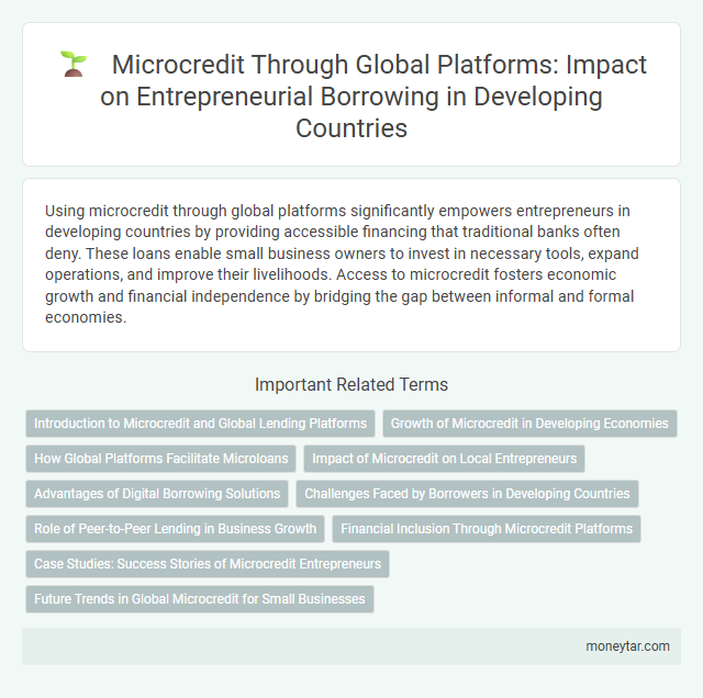 Microcredit Through Global Platforms: Impact on Entrepreneurial Borrowing in Developing Countries