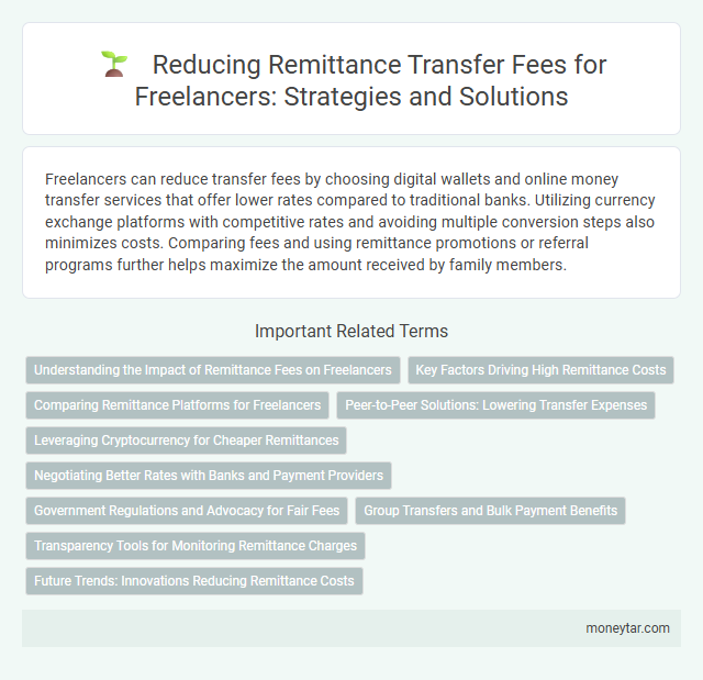 Reducing Remittance Transfer Fees for Freelancers: Strategies and Solutions