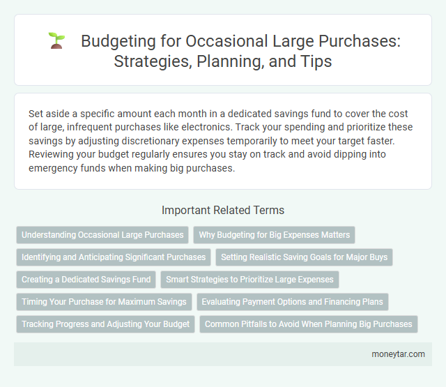 Budgeting for Occasional Large Purchases: Strategies, Planning, and Tips