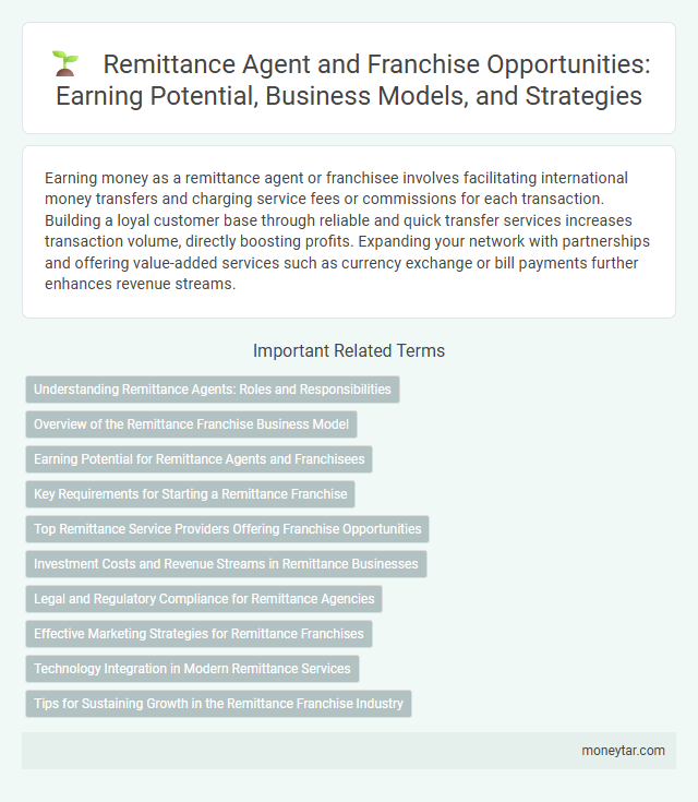 Remittance Agent and Franchise Opportunities: Earning Potential, Business Models, and Strategies