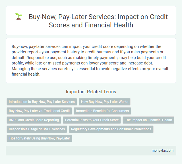 Buy-Now, Pay-Later Services: Impact on Credit Scores and Financial Health