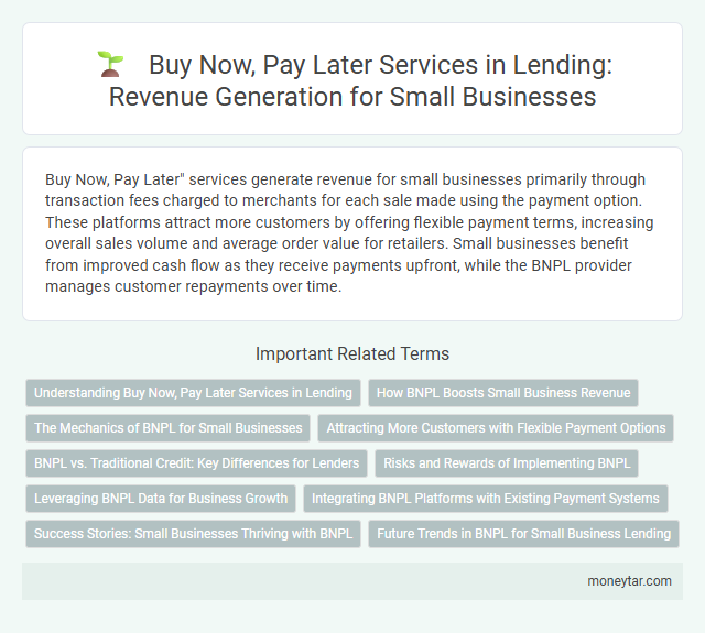 Buy Now, Pay Later Services in Lending: Revenue Generation for Small Businesses