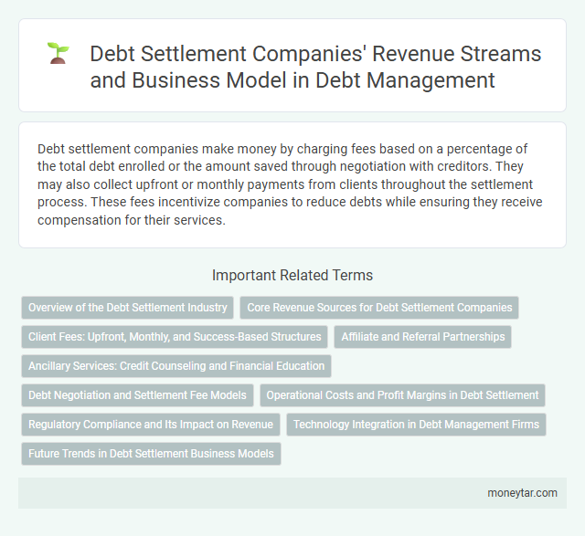 Debt Settlement Companies' Revenue Streams and Business Model in Debt Management