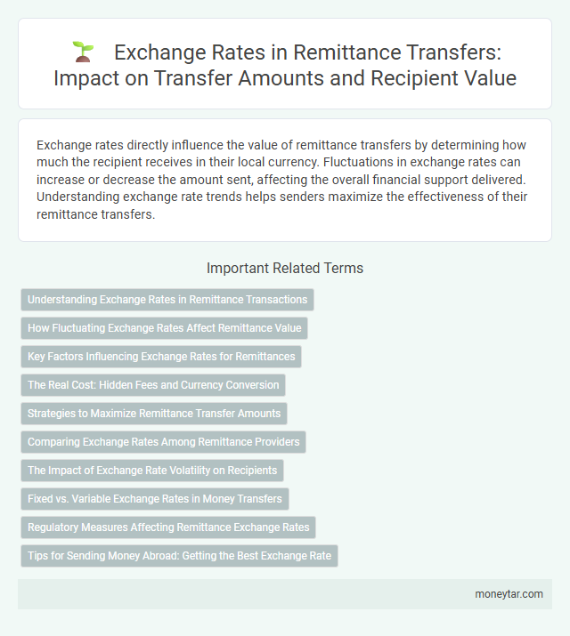 Exchange Rates in Remittance Transfers: Impact on Transfer Amounts and Recipient Value
