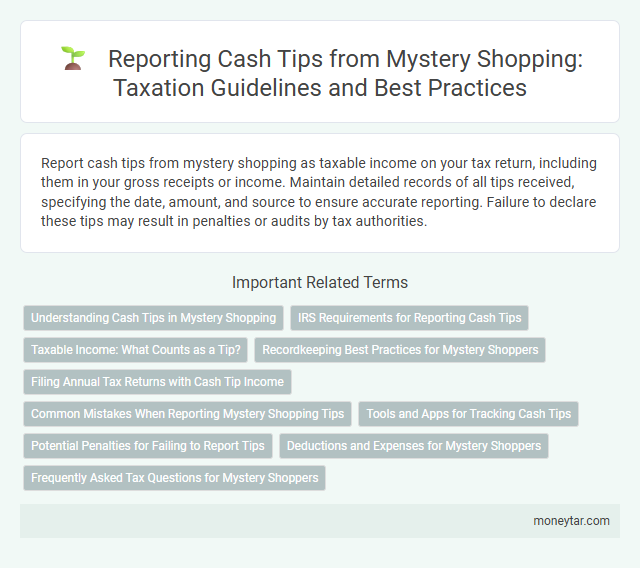 Reporting Cash Tips from Mystery Shopping: Taxation Guidelines and Best Practices
