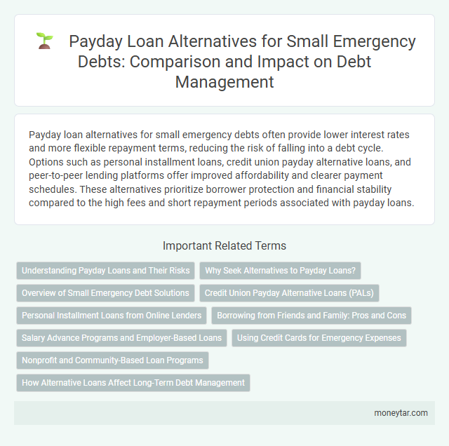 Payday Loan Alternatives for Small Emergency Debts: Comparison and Impact on Debt Management