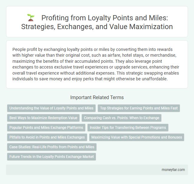Profiting from Loyalty Points and Miles: Strategies, Exchanges, and Value Maximization