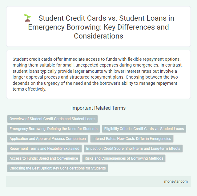 Student Credit Cards vs. Student Loans in Emergency Borrowing: Key Differences and Considerations