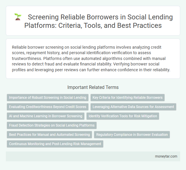 Screening Reliable Borrowers in Social Lending Platforms: Criteria, Tools, and Best Practices
