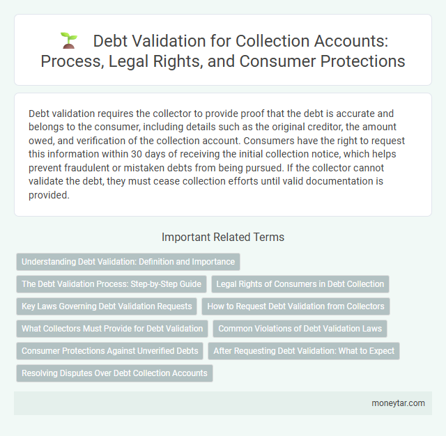Debt Validation for Collection Accounts: Process, Legal Rights, and Consumer Protections