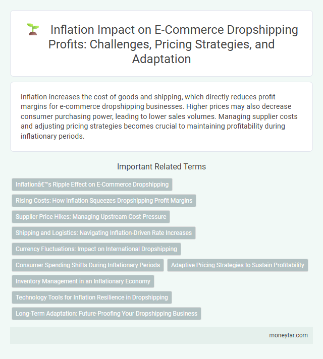 Inflation Impact on E-Commerce Dropshipping Profits: Challenges, Pricing Strategies, and Adaptation