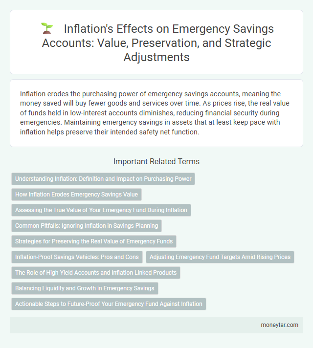 Inflation's Effects on Emergency Savings Accounts: Value, Preservation, and Strategic Adjustments