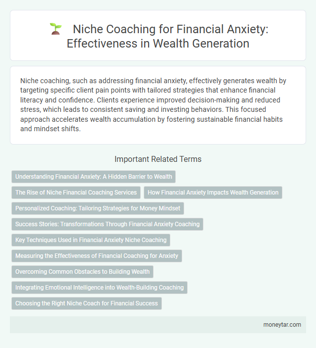 Niche Coaching for Financial Anxiety: Effectiveness in Wealth Generation