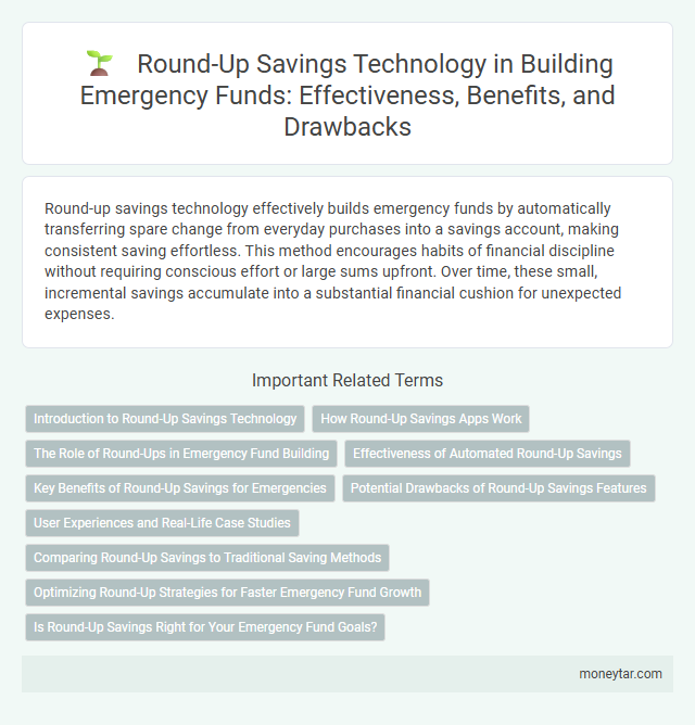 Round-Up Savings Technology in Building Emergency Funds: Effectiveness, Benefits, and Drawbacks