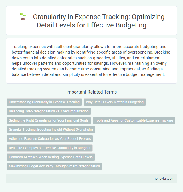 Granularity in Expense Tracking: Optimizing Detail Levels for Effective Budgeting