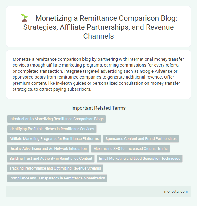 Monetizing a Remittance Comparison Blog: Strategies, Affiliate Partnerships, and Revenue Channels