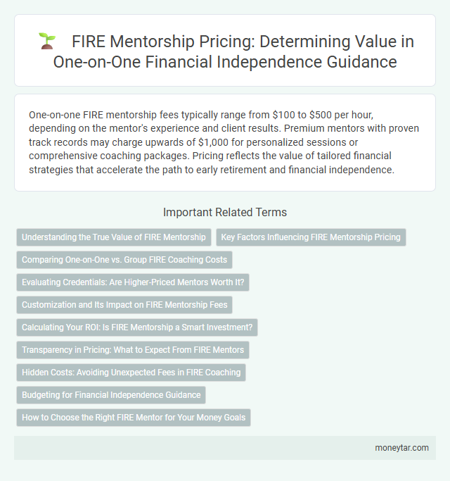FIRE Mentorship Pricing: Determining Value in One-on-One Financial Independence Guidance