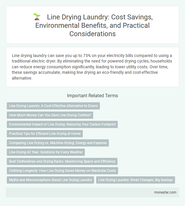 Line Drying Laundry: Cost Savings, Environmental Benefits, and Practical Considerations