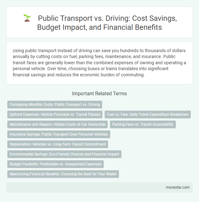 Public Transport vs. Driving: Cost Savings, Budget Impact, and Financial Benefits