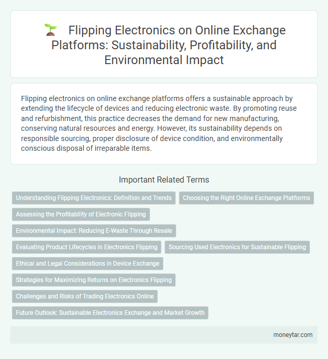 Flipping Electronics on Online Exchange Platforms: Sustainability, Profitability, and Environmental Impact