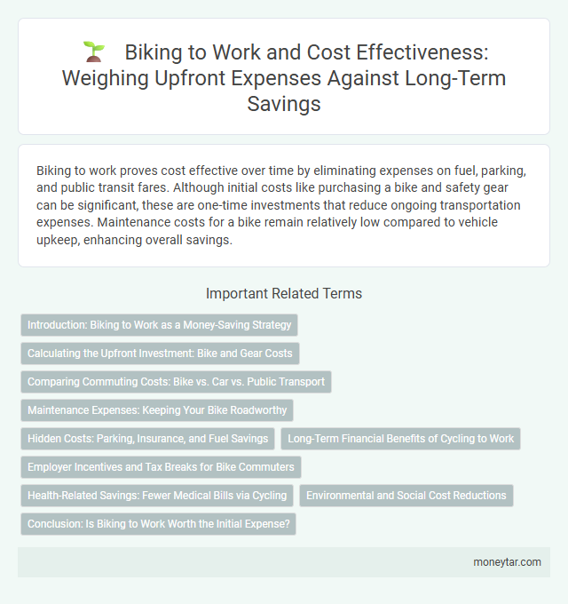 Biking to Work and Cost Effectiveness: Weighing Upfront Expenses Against Long-Term Savings