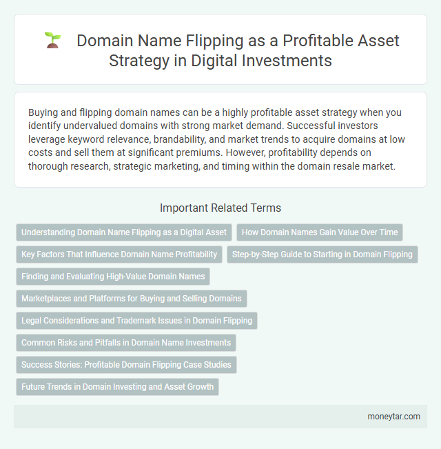 Domain Name Flipping as a Profitable Asset Strategy in Digital Investments
