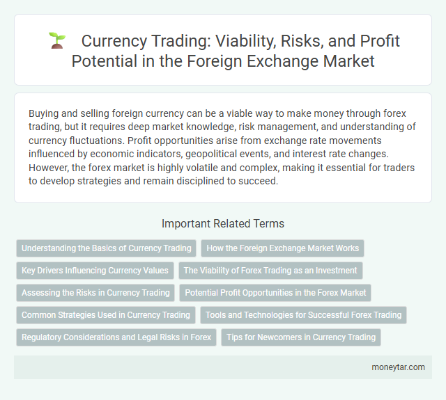 Currency Trading: Viability, Risks, and Profit Potential in the Foreign Exchange Market