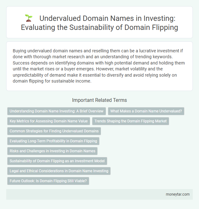 Undervalued Domain Names in Investing: Evaluating the Sustainability of Domain Flipping