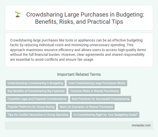 Crowdsharing Large Purchases in Budgeting: Benefits, Risks, and Practical Tips