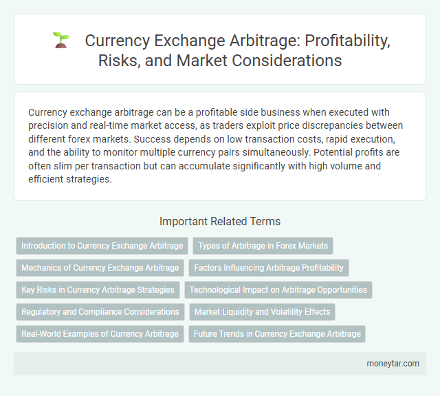 Currency Exchange Arbitrage: Profitability, Risks, and Market Considerations