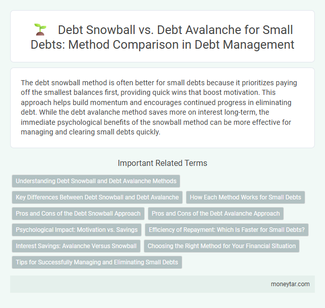 Debt Snowball vs. Debt Avalanche for Small Debts: Method Comparison in Debt Management