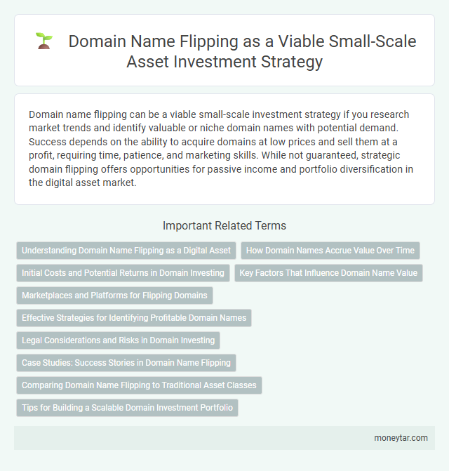 Domain Name Flipping as a Viable Small-Scale Asset Investment Strategy