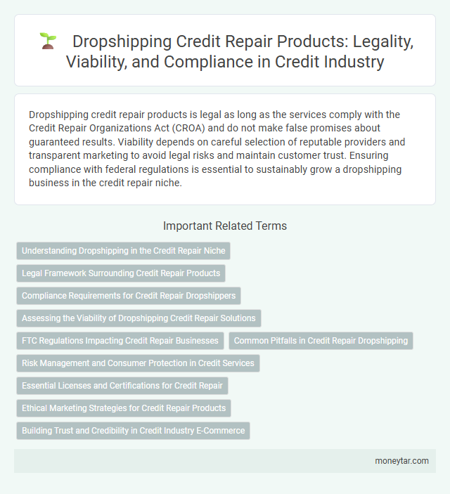 Dropshipping Credit Repair Products: Legality, Viability, and Compliance in Credit Industry