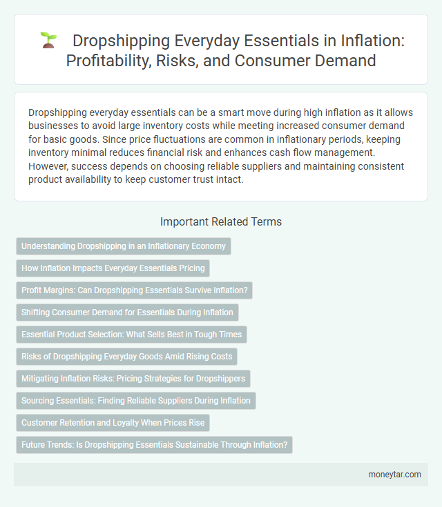 Dropshipping Everyday Essentials in Inflation: Profitability, Risks, and Consumer Demand