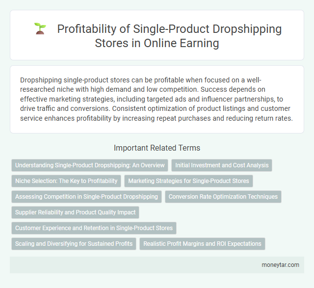 Profitability of Single-Product Dropshipping Stores in Online Earning