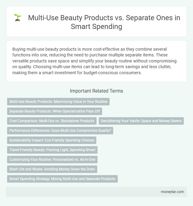Multi-Use Beauty Products vs. Separate Ones in Smart Spending