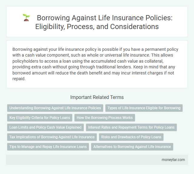 Borrowing Against Life Insurance Policies: Eligibility, Process, and Considerations