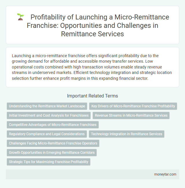 Profitability of Launching a Micro-Remittance Franchise: Opportunities and Challenges in Remittance Services