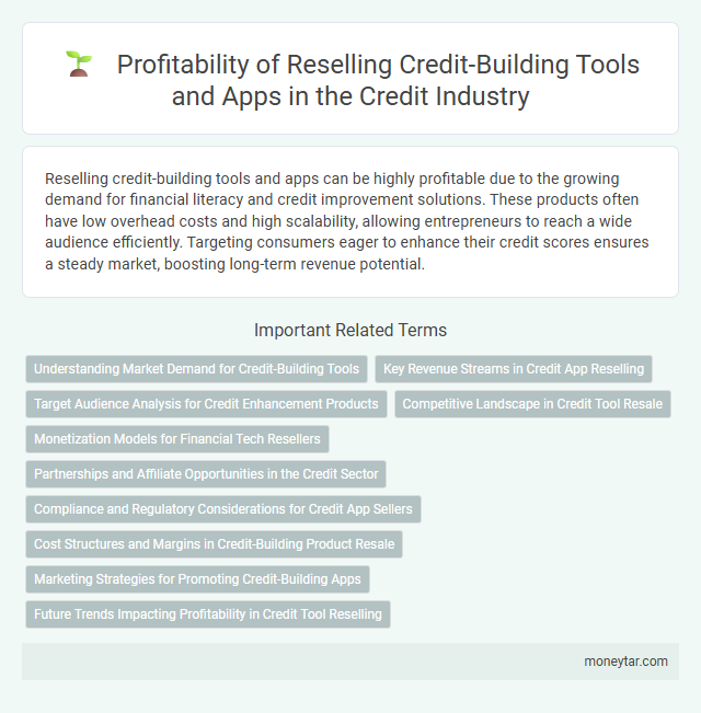 Profitability of Reselling Credit-Building Tools and Apps in the Credit Industry