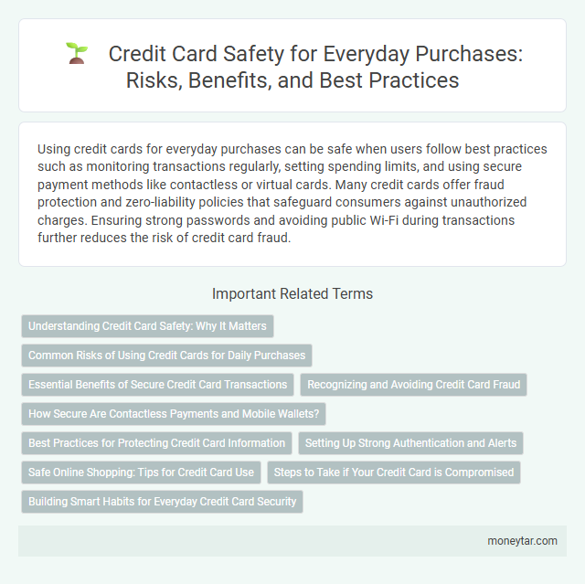 Credit Card Safety for Everyday Purchases: Risks, Benefits, and Best Practices