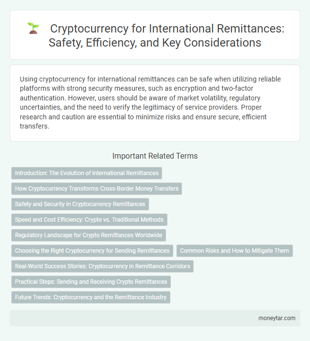 Cryptocurrency for International Remittances: Safety, Efficiency, and Key Considerations