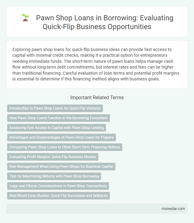 Pawn Shop Loans in Borrowing: Evaluating Quick-Flip Business Opportunities