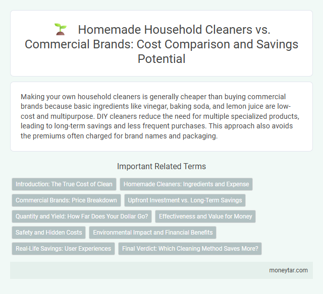 Homemade Household Cleaners vs. Commercial Brands: Cost Comparison and Savings Potential
