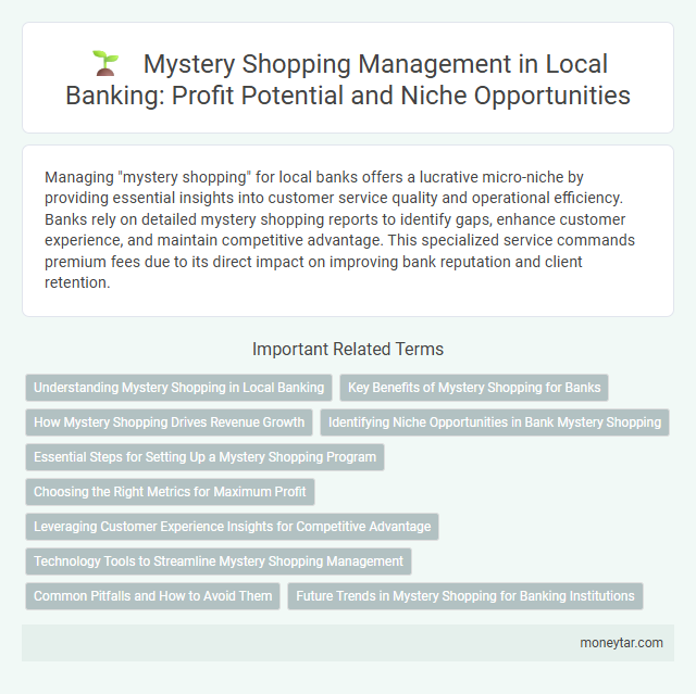 Mystery Shopping Management in Local Banking: Profit Potential and Niche Opportunities