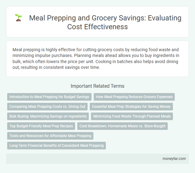 Meal Prepping and Grocery Savings: Evaluating Cost Effectiveness